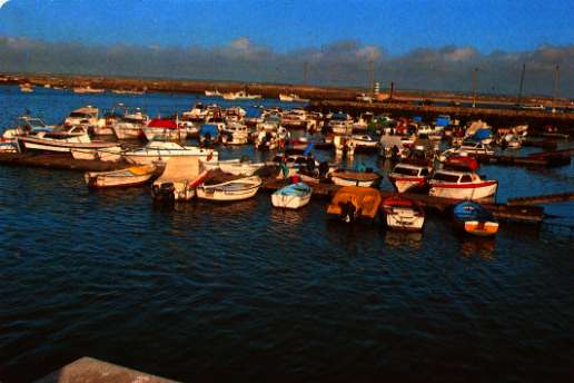 alemao2.JPG (24308 bytes)